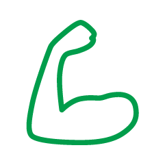 運動系
